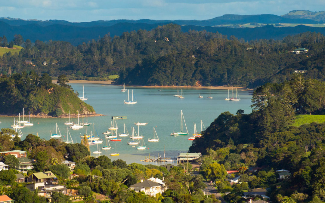 Coromandel Town